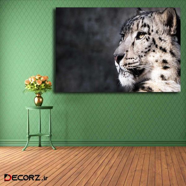 تابلو شاسی مدل پلنگ برفی کد 26