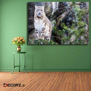 تابلو شاسی مدل پلنگ برفی کد ۲۷