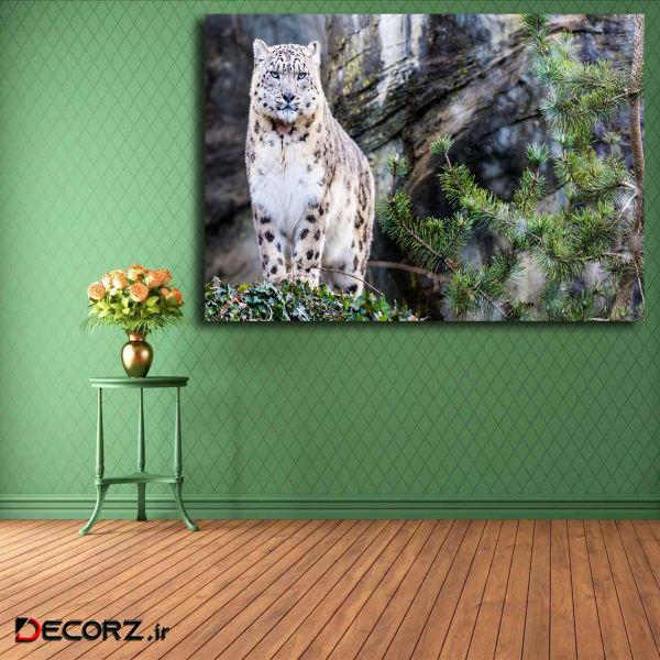 تابلو شاسی مدل پلنگ برفی کد 27