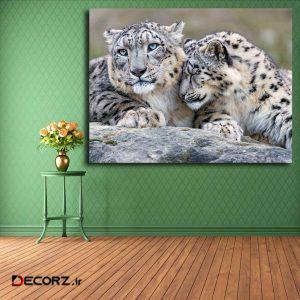 تابلو شاسی مدل پلنگ برفی کد ۲۸