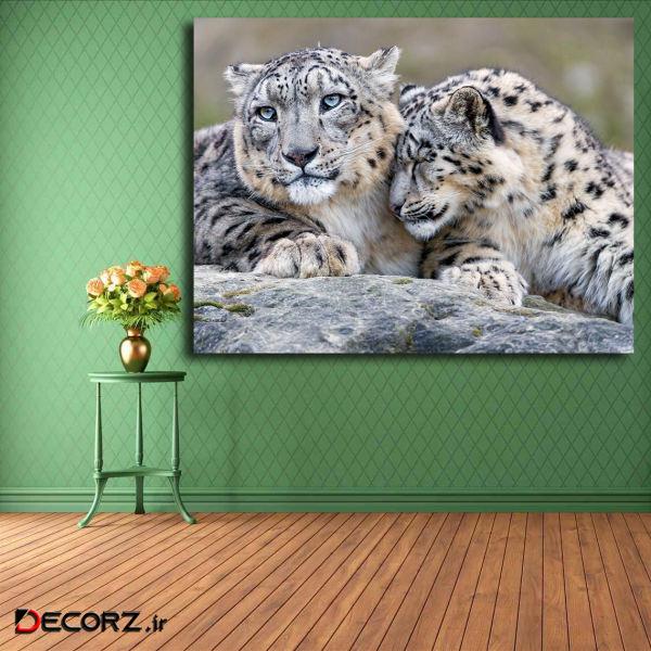 تابلو شاسی مدل پلنگ برفی کد 28