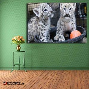 تابلو شاسی مدل پلنگ برفی کد ۲۹