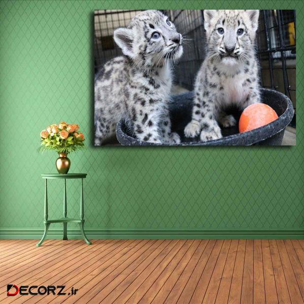 تابلو شاسی مدل پلنگ برفی کد 29