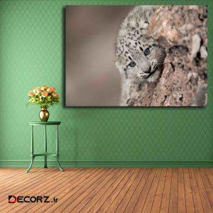 تابلو شاسی مدل پلنگ برفی کد ۳۰