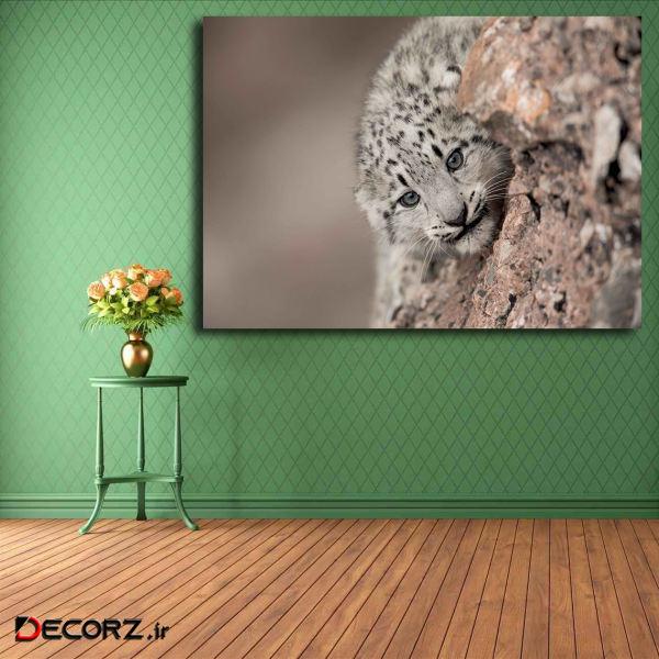 تابلو شاسی مدل پلنگ برفی کد 30