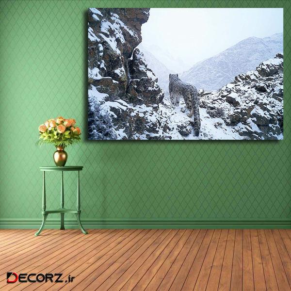 تابلو شاسی مدل پلنگ کد 17