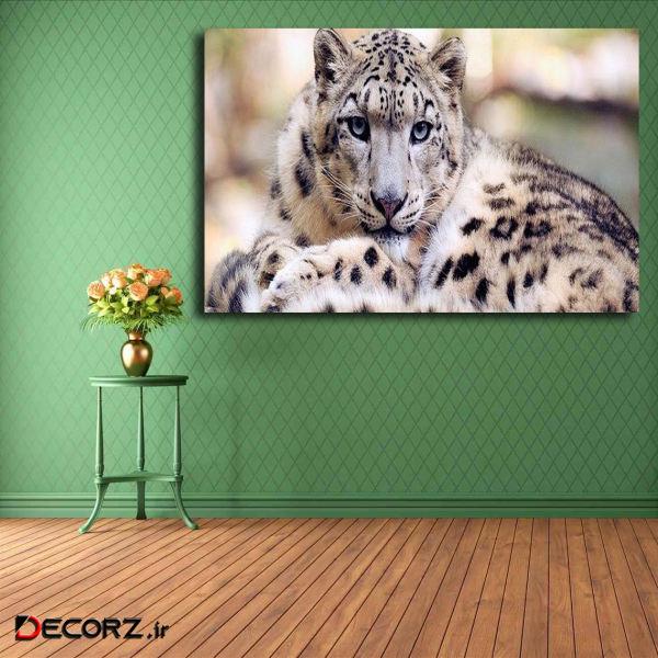 تابلو شاسی مدل پلنگ کد 22