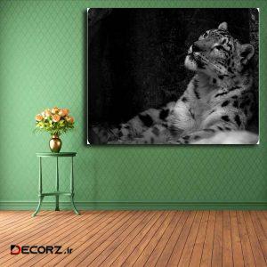 تابلو شاسی مدل پلنگ کد ۲۳