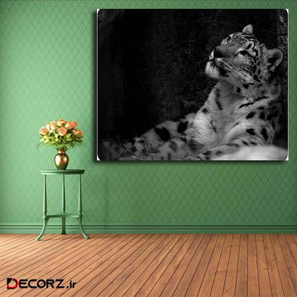 تابلو شاسی مدل پلنگ کد 23