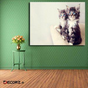 تابلو شاسی مدل گربه کد ۱۱