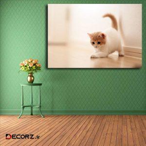 تابلو شاسی مدل گربه کد ۱۲