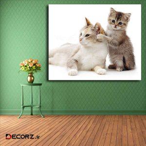 تابلو شاسی مدل گربه کد ۱۳