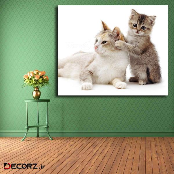 تابلو شاسی مدل گربه کد 13