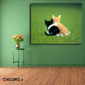 تابلو شاسی مدل گربه کد ۱۴