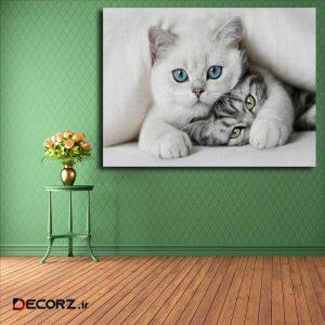 تابلو شاسی مدل گربه کد ۱۵