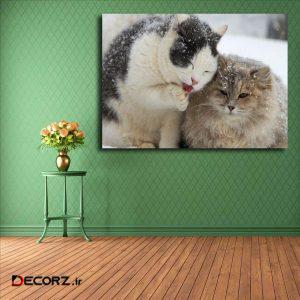 تابلو شاسی مدل گربه کد ۱۶