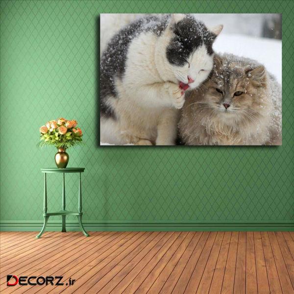 تابلو شاسی مدل گربه کد 16