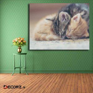 تابلو شاسی مدل گربه کد ۱۸