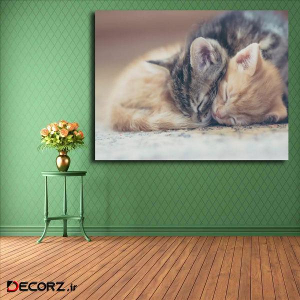 تابلو شاسی مدل گربه کد 18