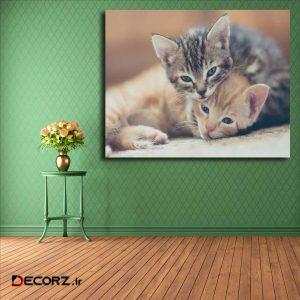 تابلو شاسی مدل گربه کد ۱۹