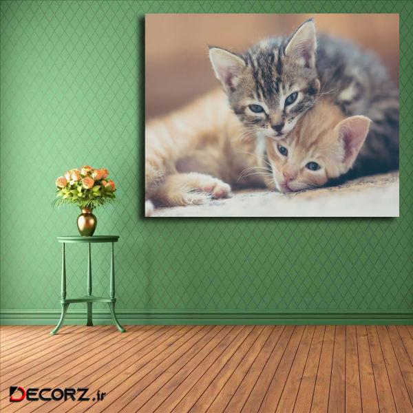 تابلو شاسی مدل گربه کد 19