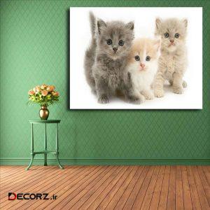 تابلو شاسی مدل گربه کد ۲۰