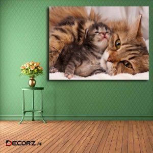 تابلو شاسی مدل گربه کد ۲۱