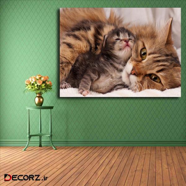 تابلو شاسی مدل گربه کد 21