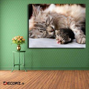 تابلو شاسی مدل گربه کد ۲۲