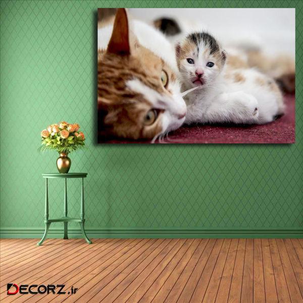 تابلو شاسی مدل گربه کد 23