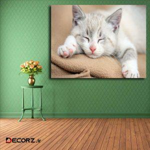 تابلو شاسی مدل گربه کد ۲۴