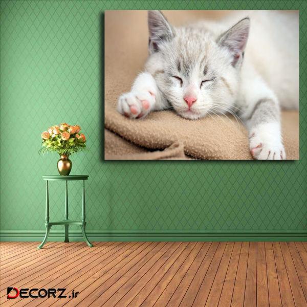 تابلو شاسی مدل گربه کد 24