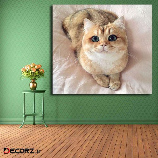 تابلو شاسی مدل گربه کد 25