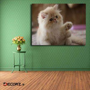 تابلو شاسی مدل گربه کد ۲۶