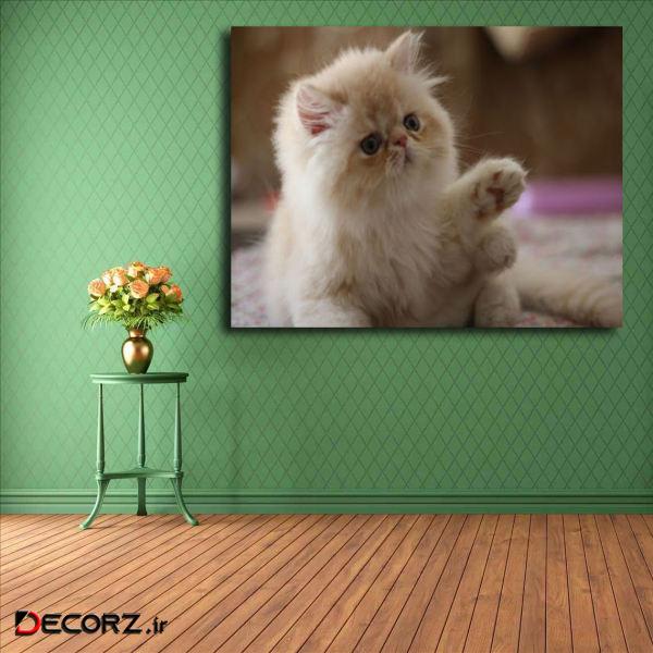 تابلو شاسی مدل گربه کد 26