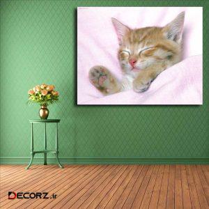 تابلو شاسی مدل گربه کد ۲۷