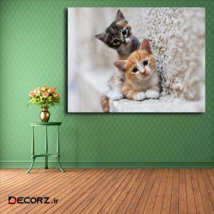 تابلو شاسی مدل گربه کد ۲۸