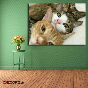 تابلو شاسی مدل گربه کد ۲۹