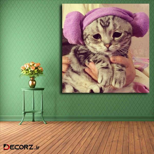 تابلو شاسی مدل گربه کد 5