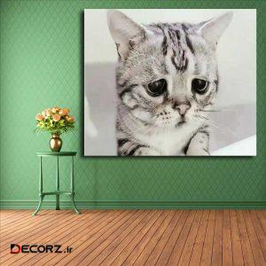 تابلو شاسی مدل گربه کد ۷