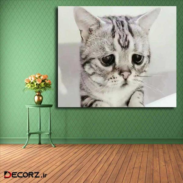 تابلو شاسی مدل گربه کد 7