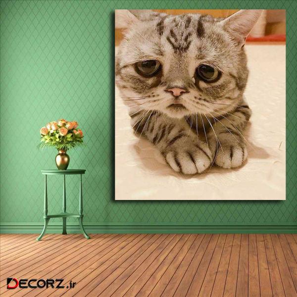 تابلو شاسی مدل گربه کد 8