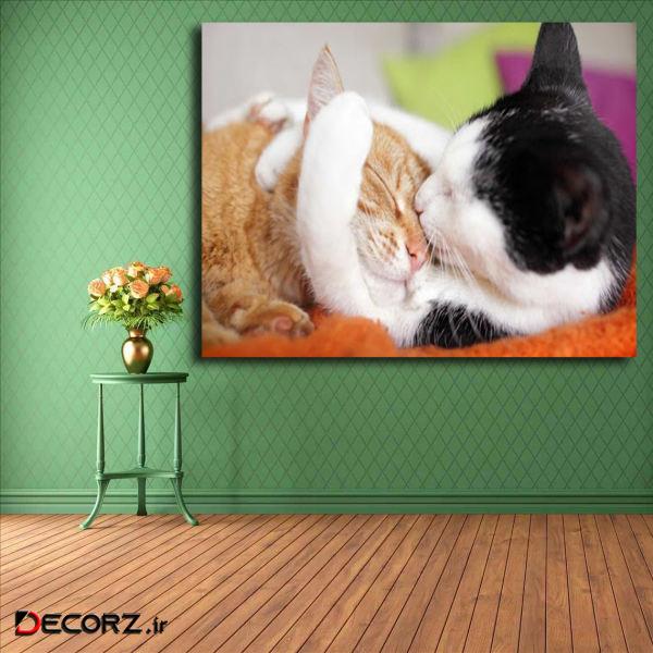 تابلو شاسی مدل گربه کد 9