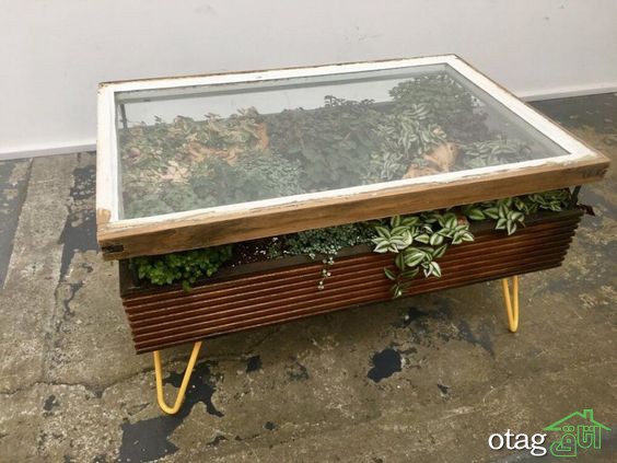 تزیین زیر میز شیشه ای توسط گیاهان مختلف برای دکوراسیون لاکچری خانه