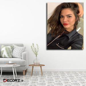 تابلو شاسی مدل دمت اوزدمیر کد ۴