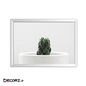 تابلو پلاتین f4-Cactus