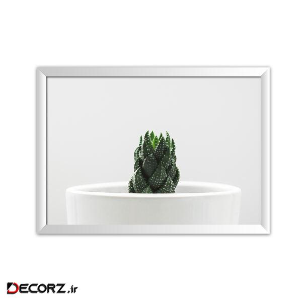 تابلو پلاتین f4-Cactus