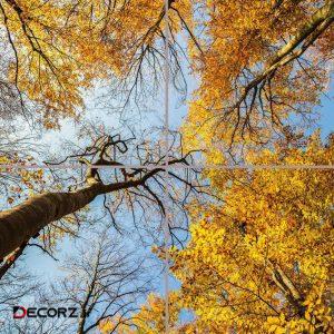 تایل سقفی آسمان مجازی مدل AY22015 سایز ۶۰*۶۰ مجموعه چهار عددی