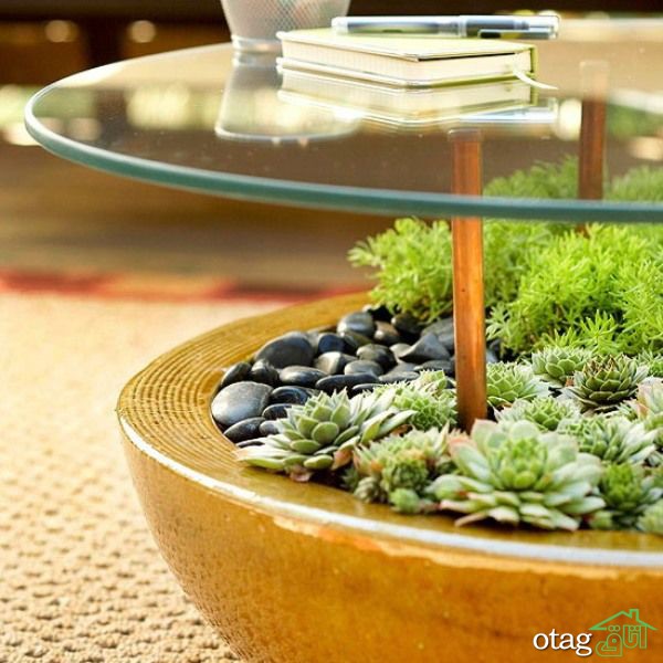 تزیین زیر میز شیشه ای توسط گیاهان مختلف برای دکوراسیون لاکچری خانه