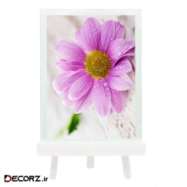 قاب عکس مدل بومرنگ  سایز  20×30 سانتی متر 